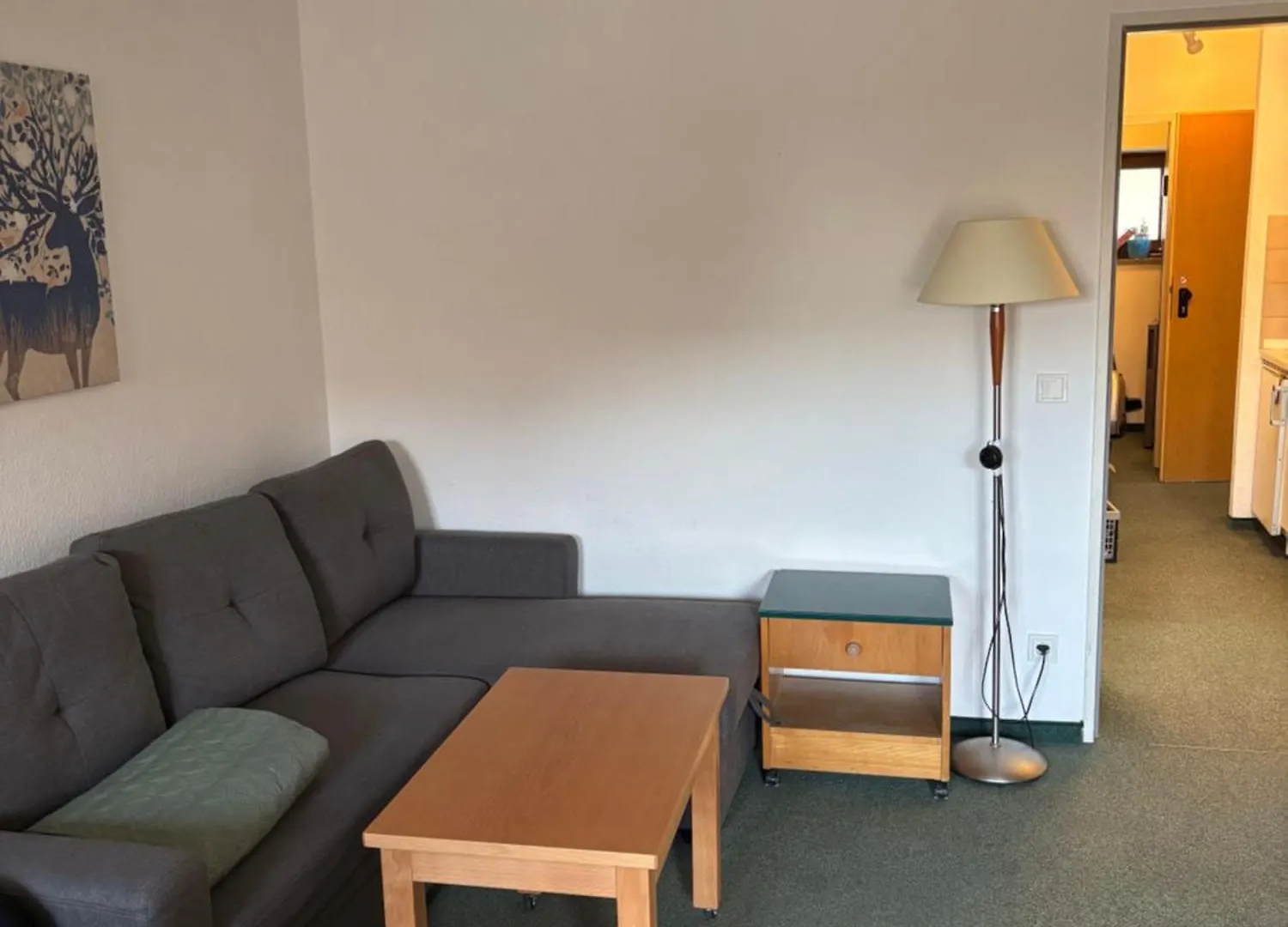 Komfortables Helles 2-Zimmer-Appartment Waldkirchen Apartment