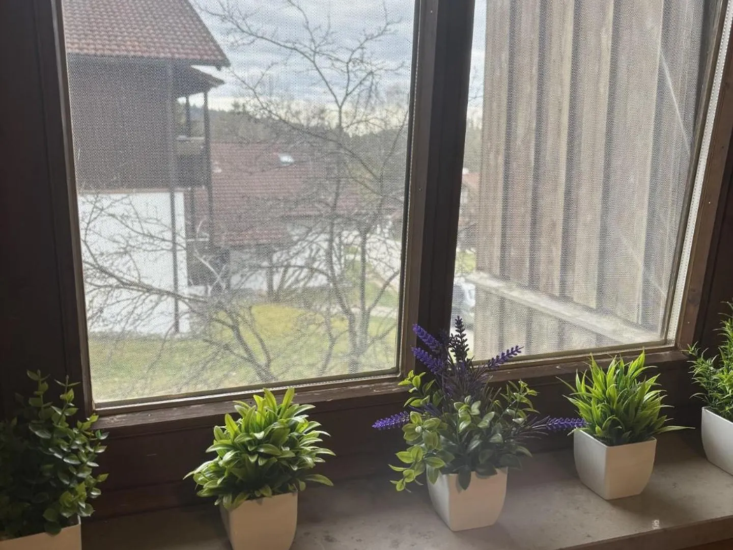 Apartment Komfortables Helles 2-Zimmer-Appartment Waldkirchen