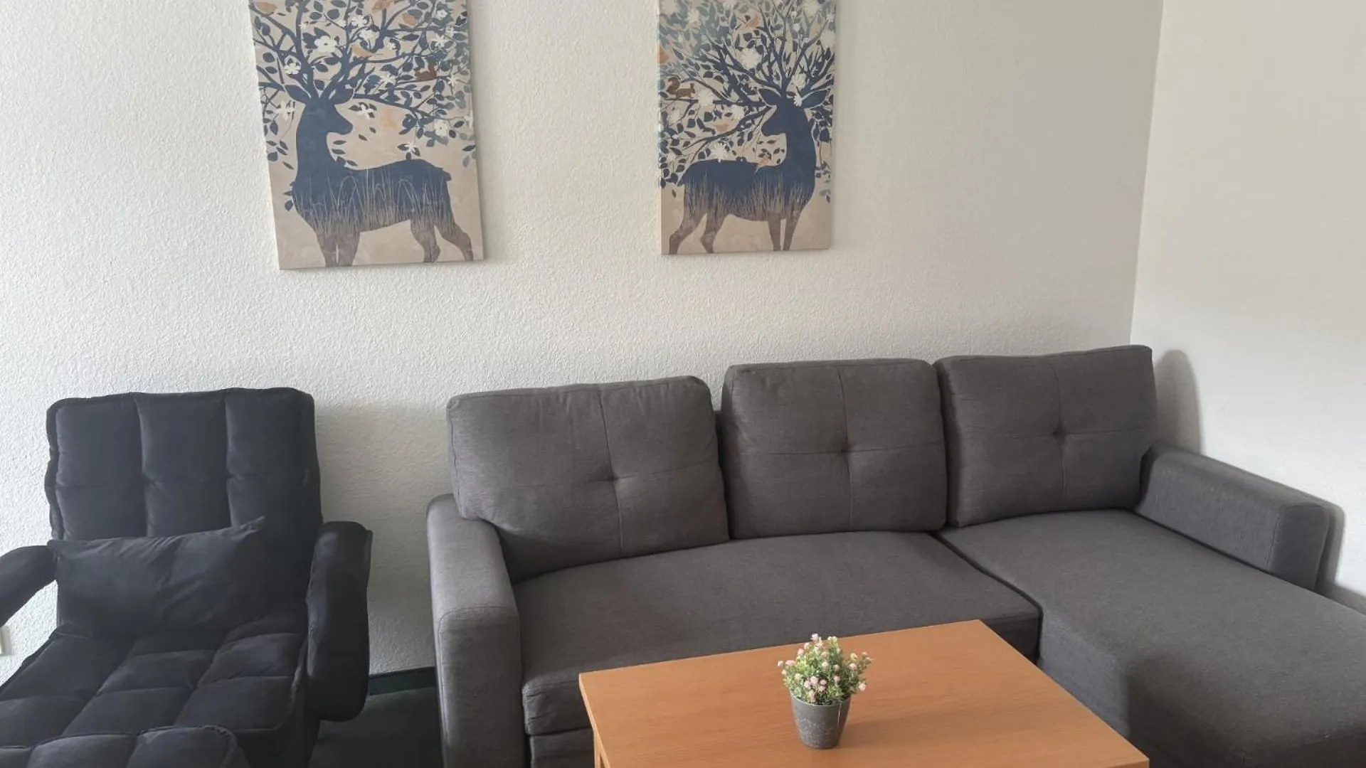 Apartment Komfortables Helles 2-Zimmer-Appartment Waldkirchen Germany